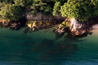 20140528-DSC_0010.jpg