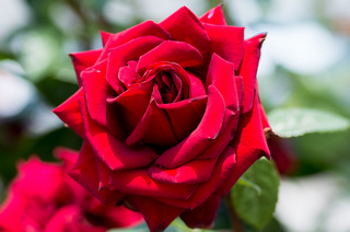 20140528-DSC_0086.jpg